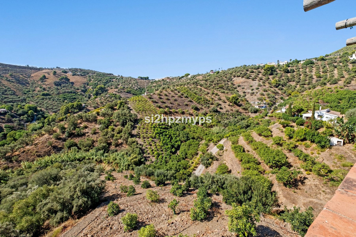 2-slaapkamer finca buiten Frigiliana met avocado-plantage in Frigiliana - foto 13