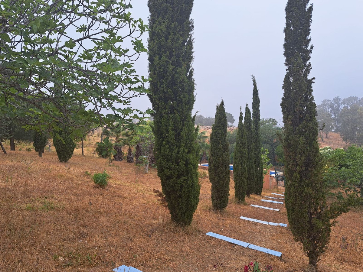 4-slaapkamer finca in Mijas in Mijas - foto 4