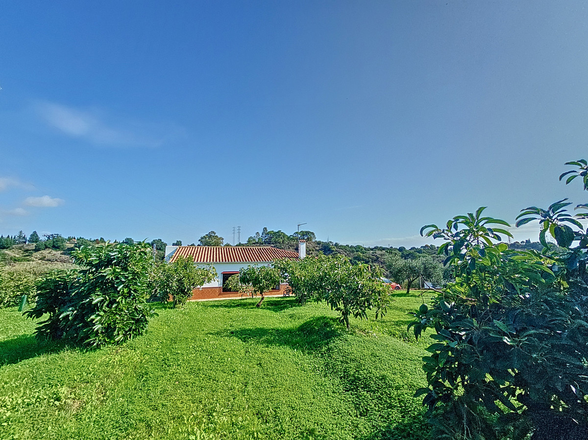 Finca met 3 slaapkamers in El Padron (Estepona-Oost) in El Padron - foto 2