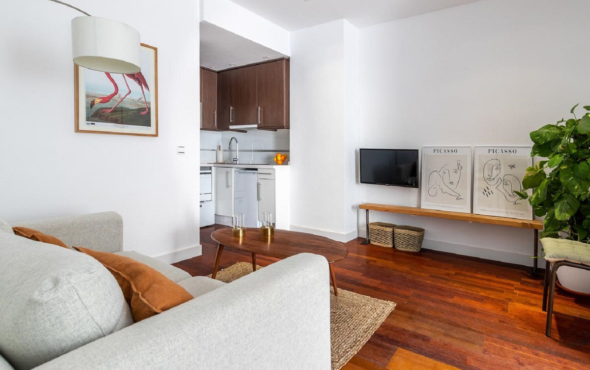 1-slaapkamer appartement in Málaga Centro in Málaga Centro - foto 6