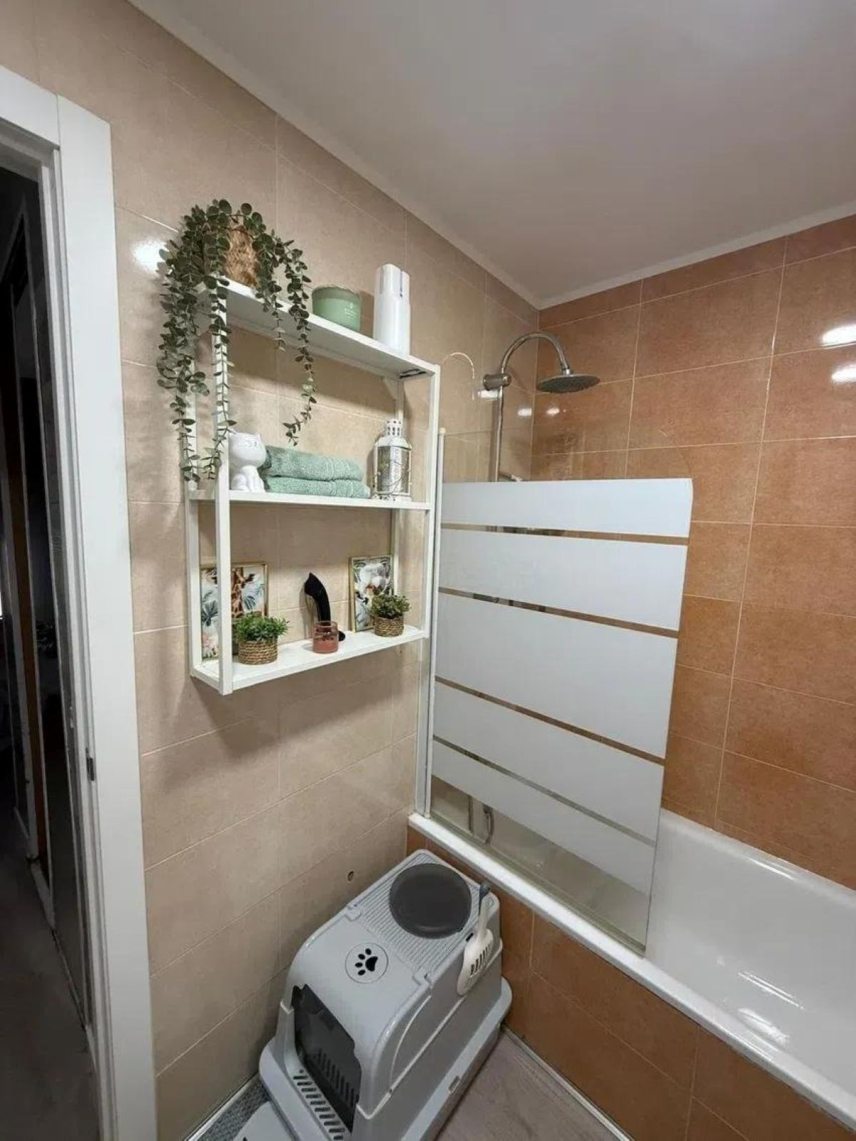 2-slaapkamer appartement in Málaga – Fuente Olletas in Málaga - foto 9
