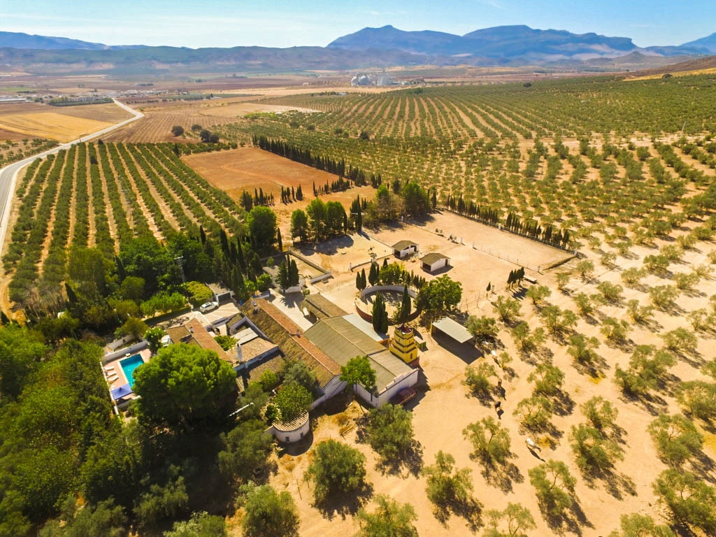 Finca met 9 slaapkamers in Antequera in Antequera - foto 3
