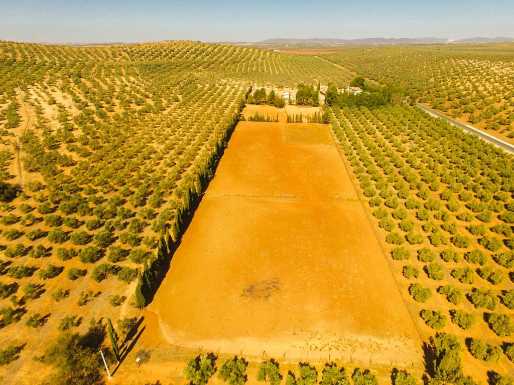 Finca met 9 slaapkamers in Antequera in Antequera - foto 4