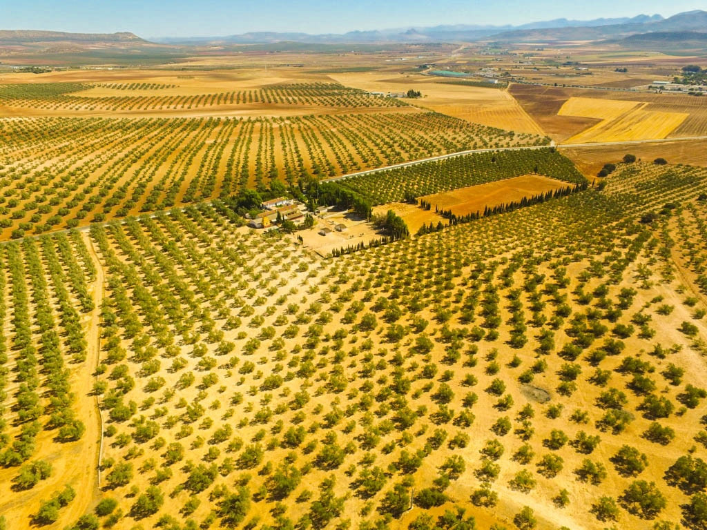 Finca met 9 slaapkamers in Antequera in Antequera - foto 5