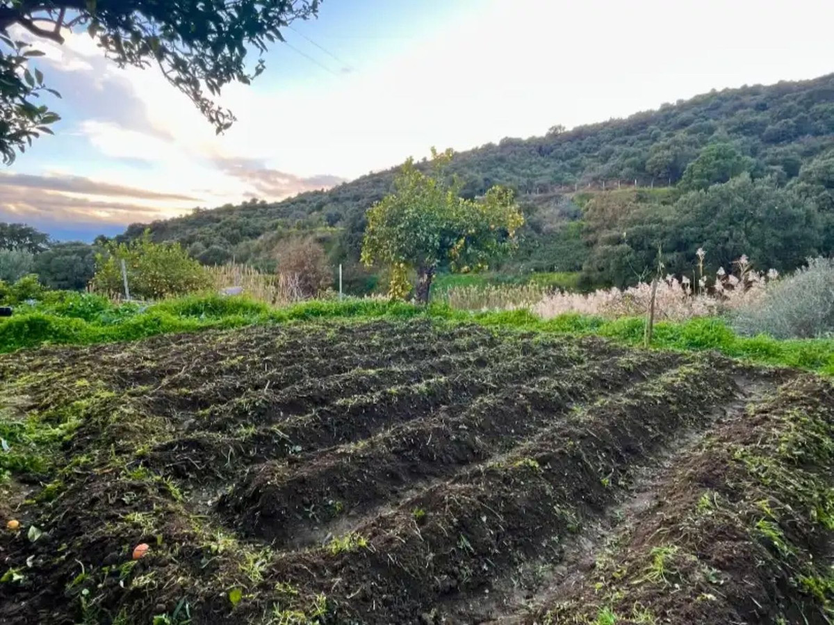 Finca met 3 slaapkamers in Estepona in Estepona - foto 9