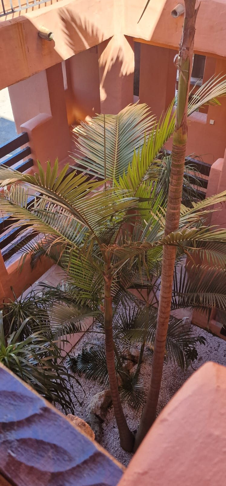 1-slaapkamer appartement in New Golden Mile (Málaga) — R5463760 in New Golden Mile - foto 17