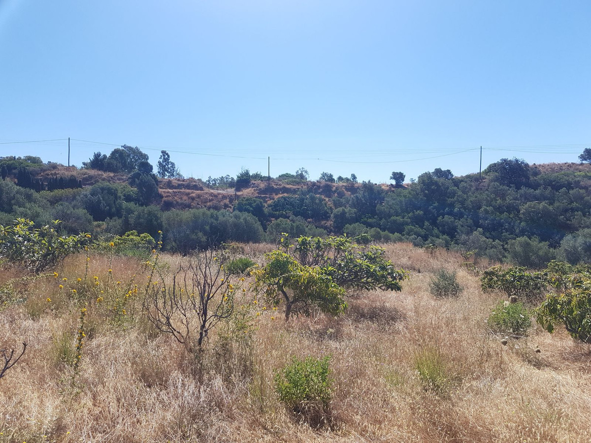 Finca – Cortijo in Estepona, Málaga in Estepona - foto 11