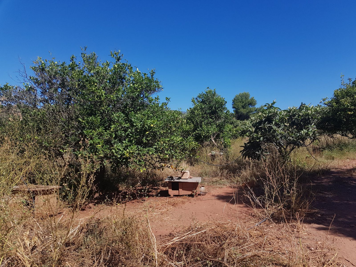 Finca – Cortijo in Estepona, Málaga in Estepona - foto 5