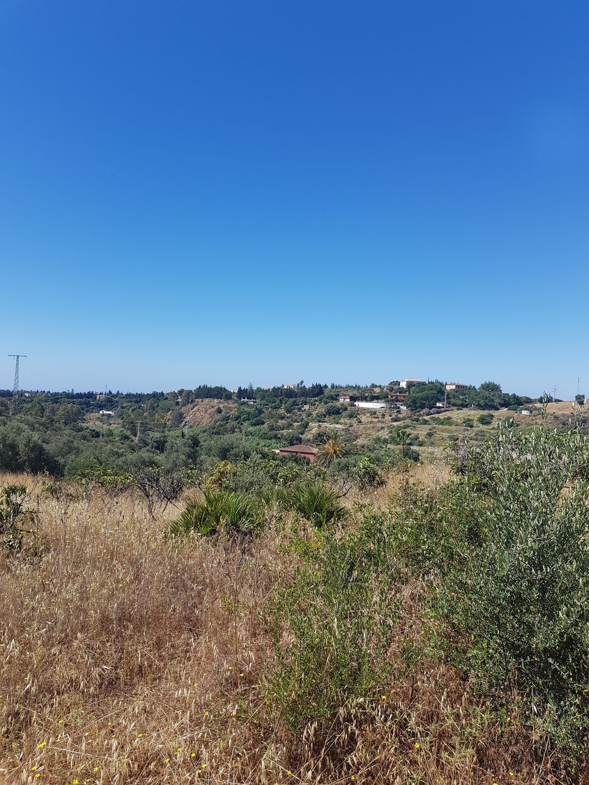 Finca – Cortijo in Estepona, Málaga in Estepona - foto 9