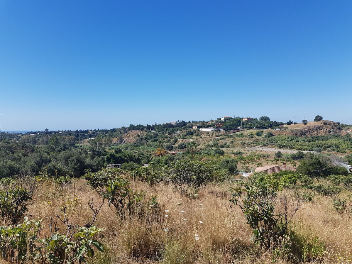 Finca – Cortijo in Estepona, Málaga in Estepona - foto 10