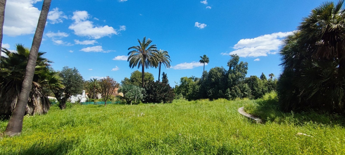 Perceel in Sotogrande Costa – Kings & Queens gebied in Sotogrande - foto 2