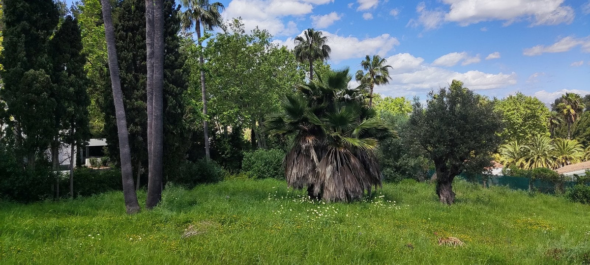 Perceel in Sotogrande Costa – Kings & Queens gebied in Sotogrande - foto 11