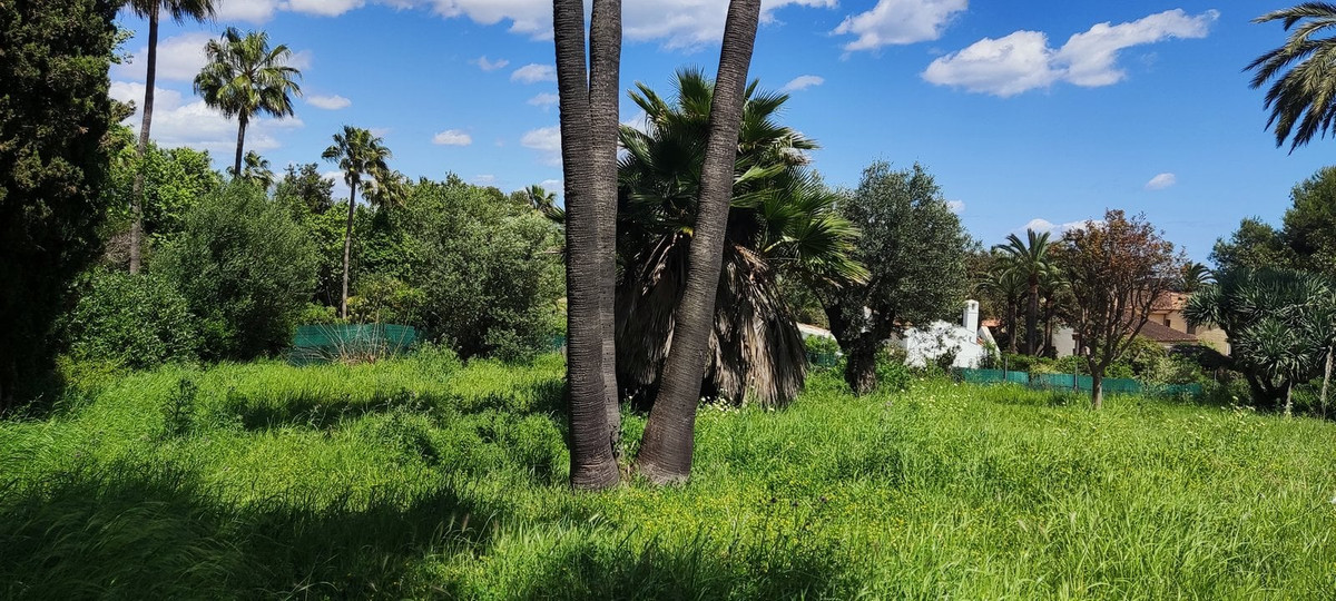Perceel in Sotogrande Costa – Kings & Queens gebied in Sotogrande - foto 14