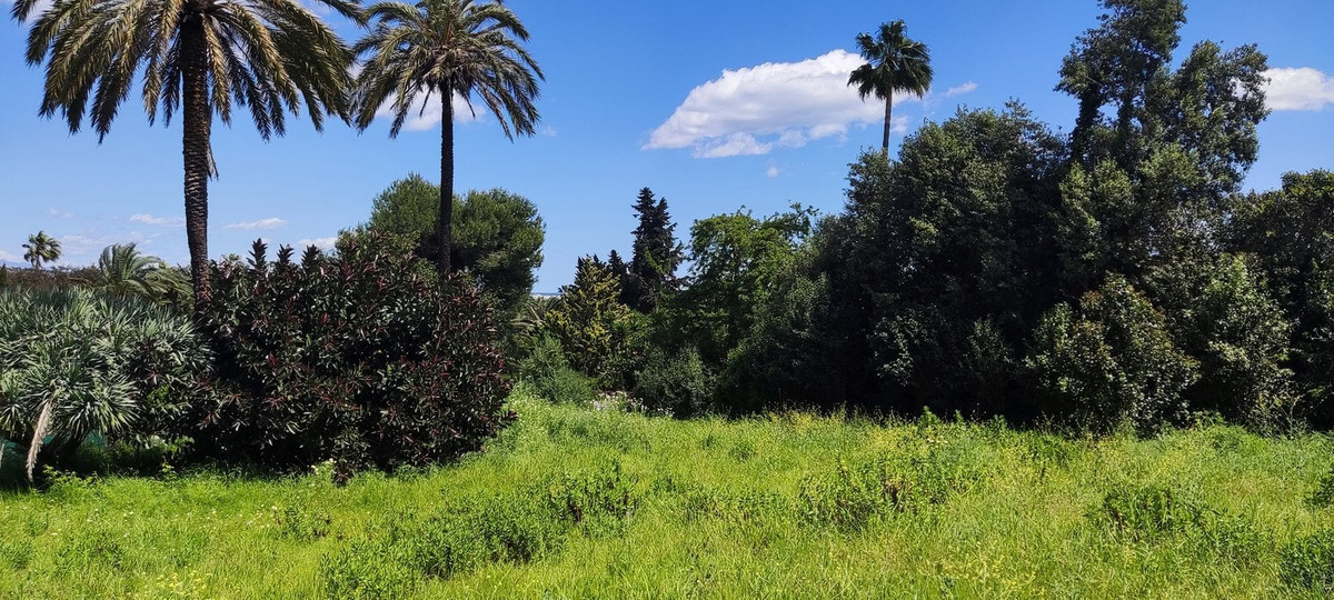 Perceel in Sotogrande Costa – Kings & Queens gebied in Sotogrande - foto 3