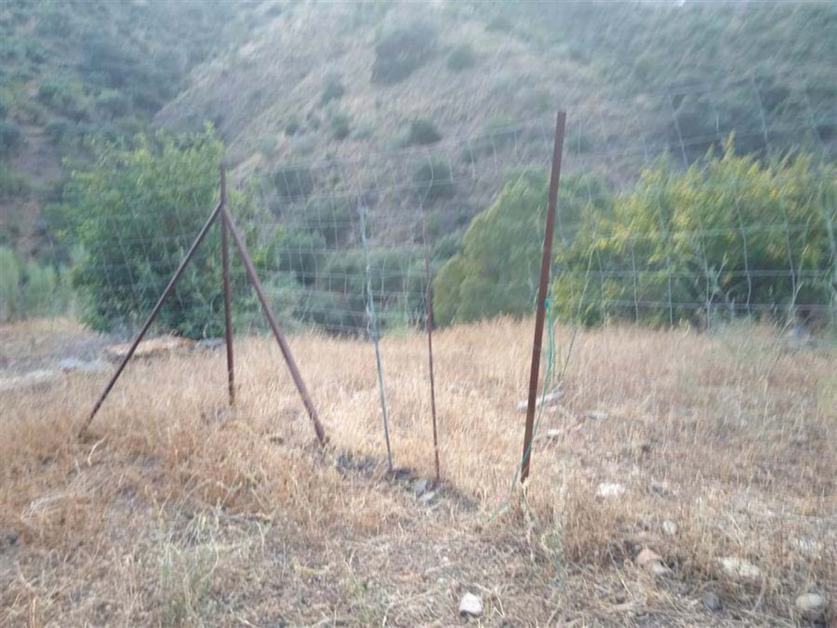 Plot in Málaga in Málaga - foto 4