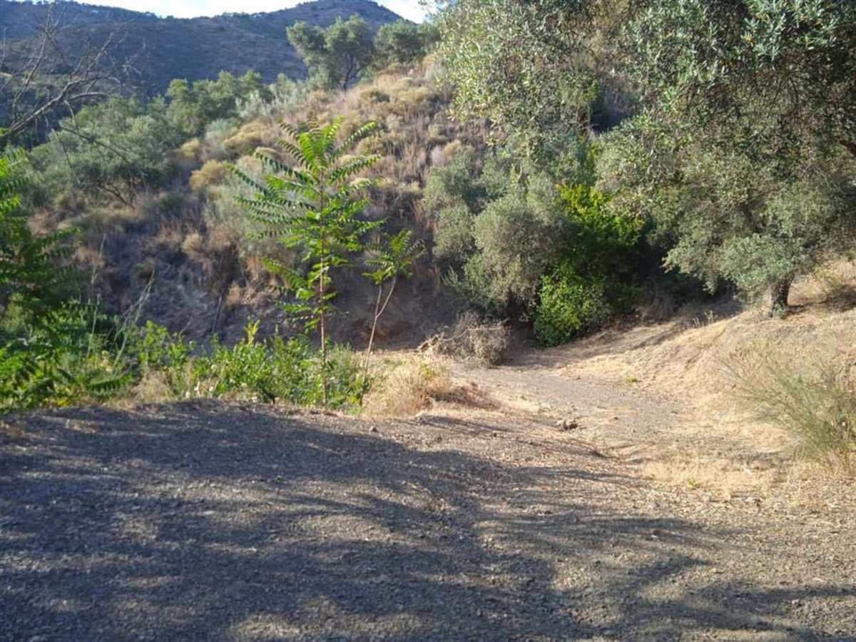 Plot in Málaga in Málaga - foto 5