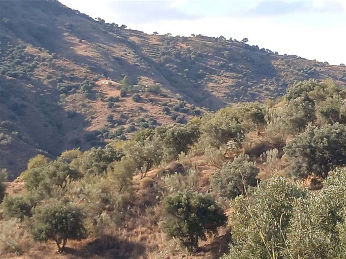 Plot in Málaga in Málaga - foto 6