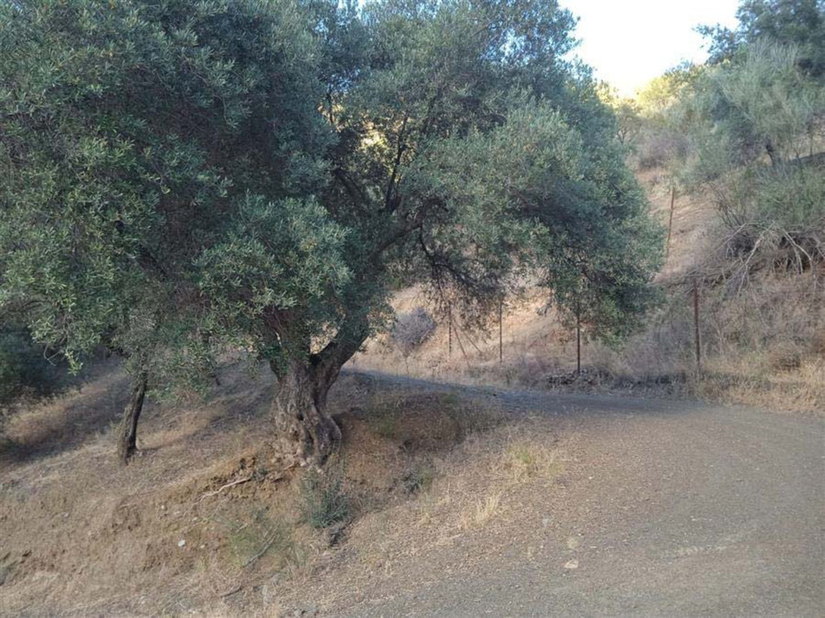 Plot in Málaga in Málaga - foto 7