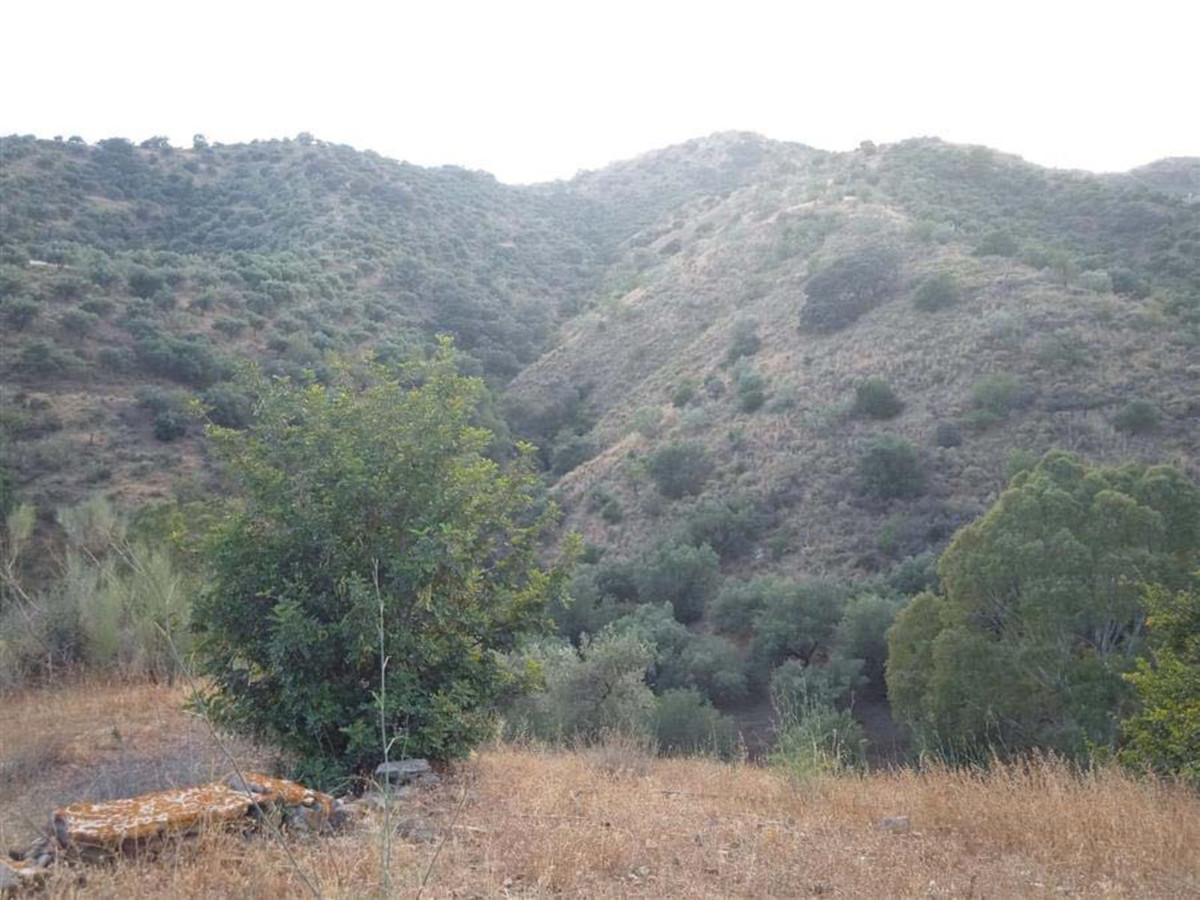 Plot in Málaga in Málaga - foto 8