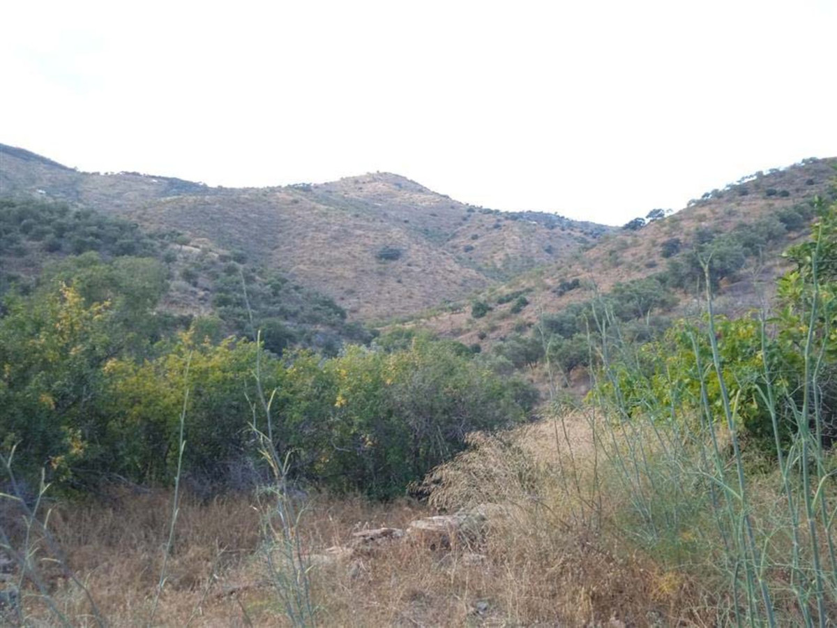 Plot in Málaga in Málaga - foto 9