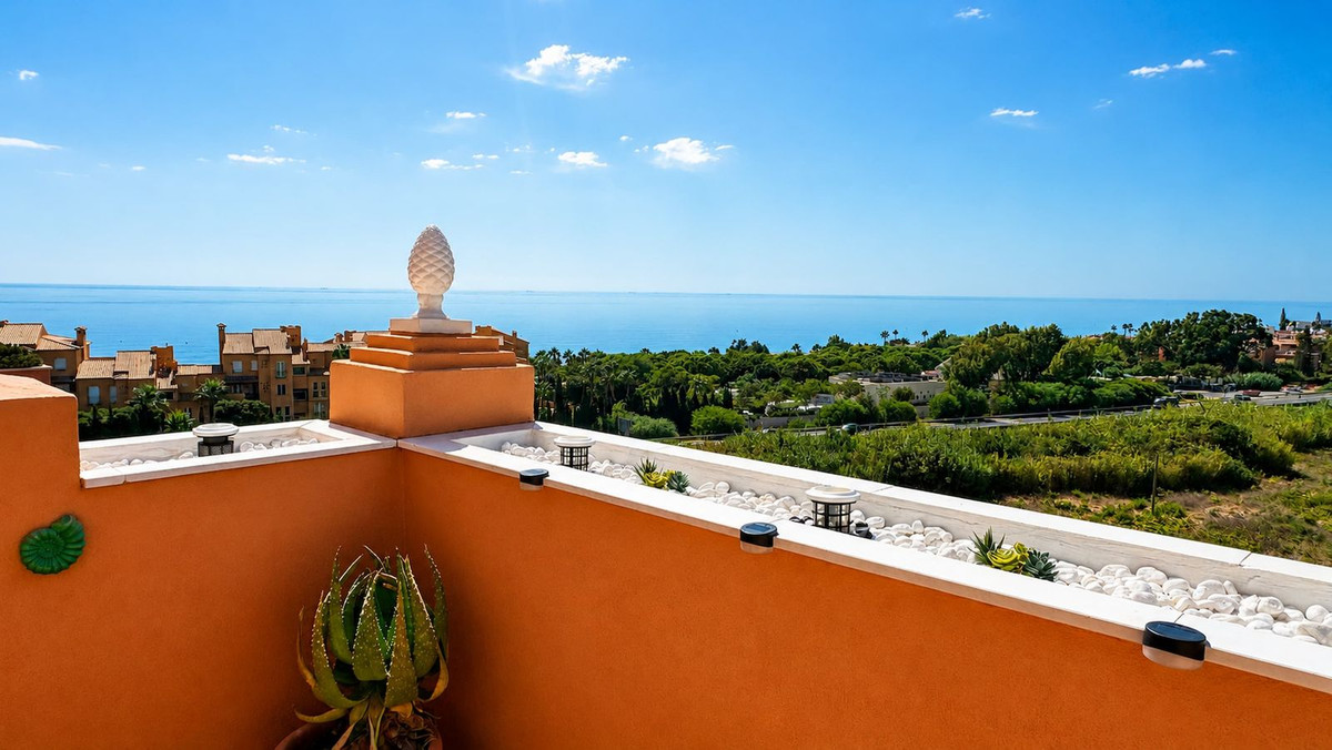 1-slaapkamer penthouse in La Duquesa in La Duquesa - foto 3