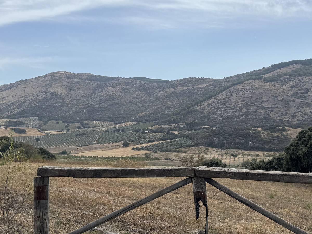 Finca met 3 slaapkamers te koop in Alfarnate, Málaga in Alfarnate - foto 12