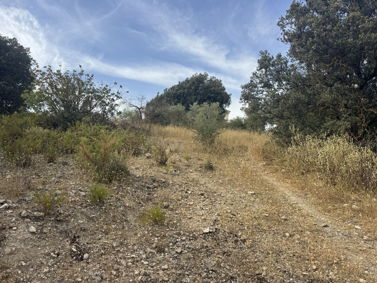 Finca met 3 slaapkamers te koop in Alfarnate, Málaga in Alfarnate - foto 10