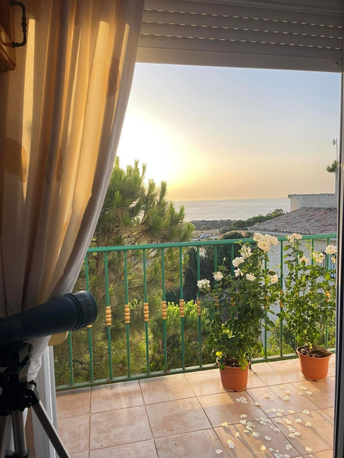 Vrijstaand huis met 3 appartementen in El Faro, Mijas in El Faro - foto 11