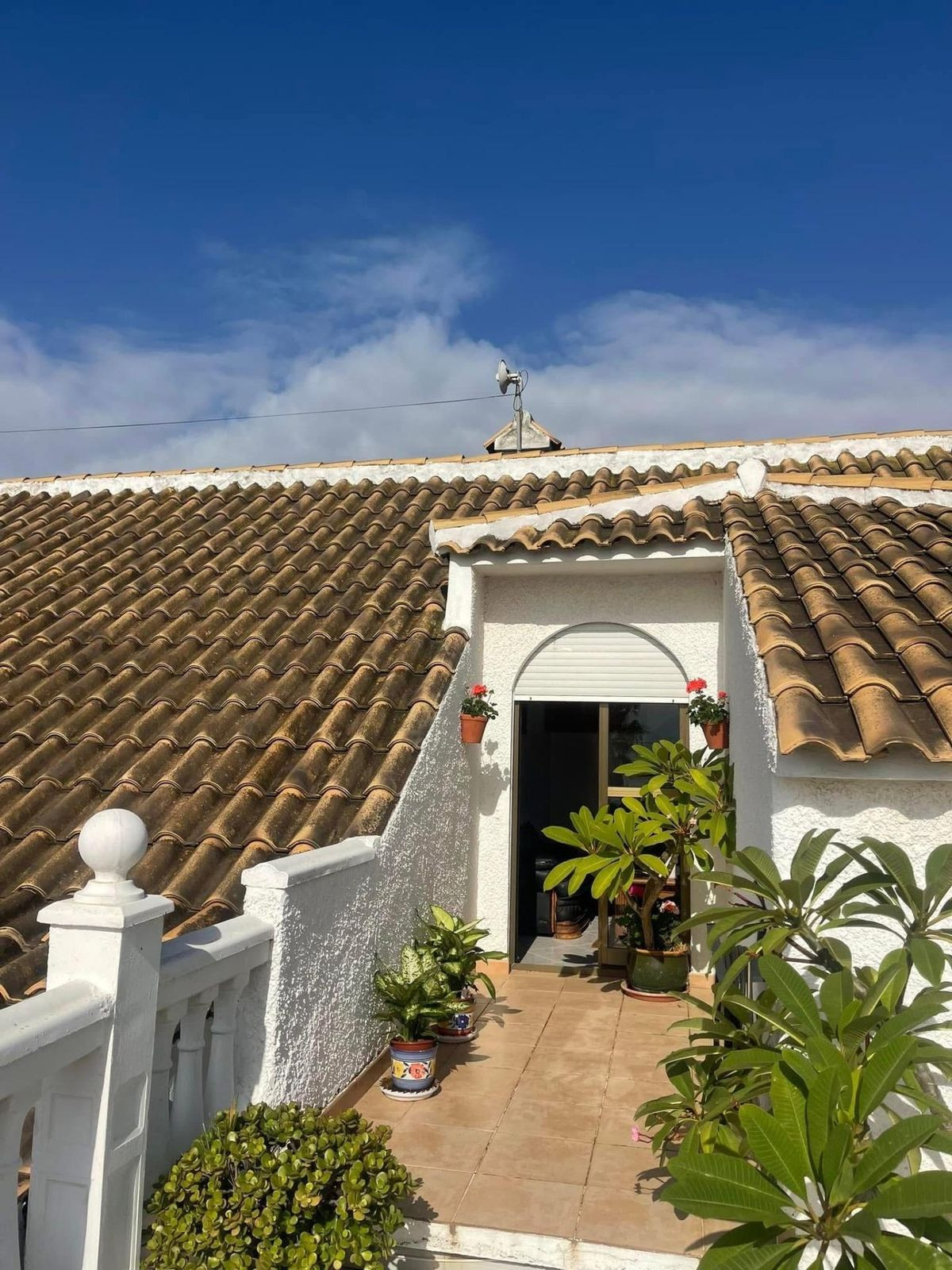 Vrijstaand huis met 3 appartementen in El Faro, Mijas in El Faro - foto 3