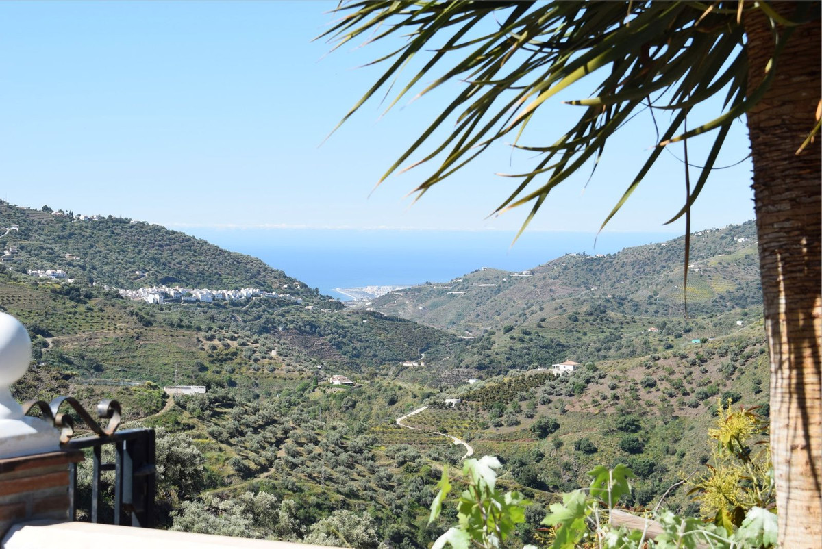 La Cima Estate – Twee villa’s met panoramisch zeezicht in Cómpeta in Cómpeta - foto 10