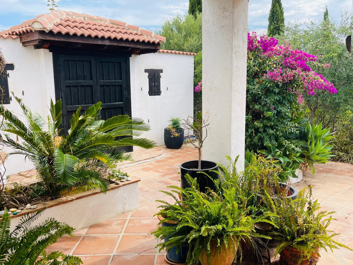 Finca met 4 slaapkamers in Almogía in Almogía - foto 7