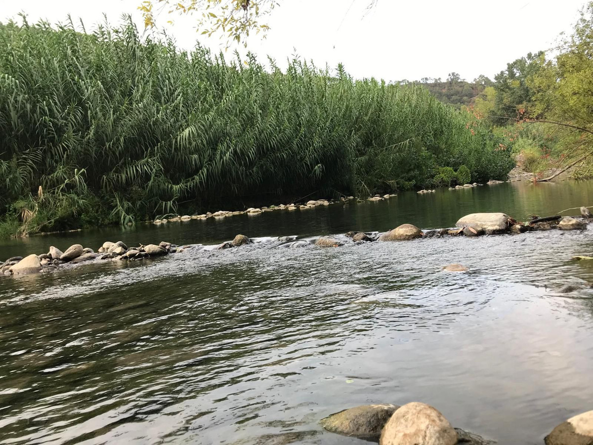 Drie-slaapkamer finca in Genalguacil in Genalguacil - foto 3