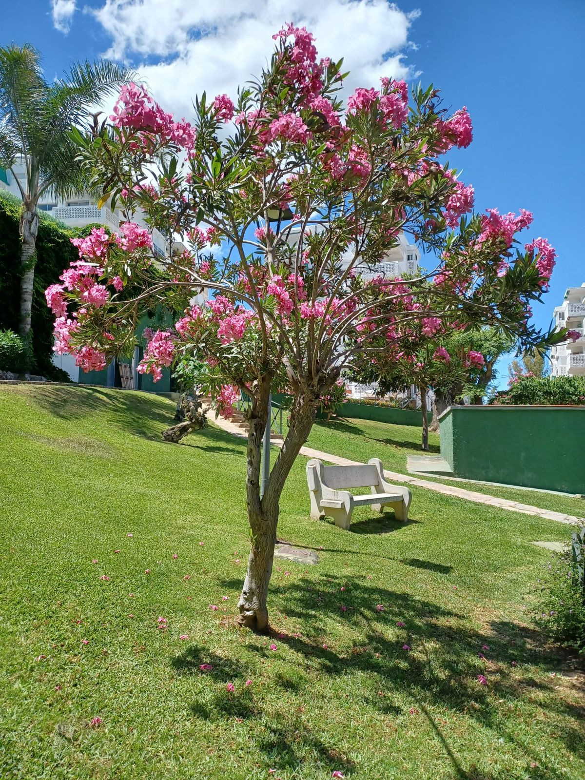 2-slaapkamer penthouse-appartement in Estepona (Parque Antena) in Estepona - foto 13