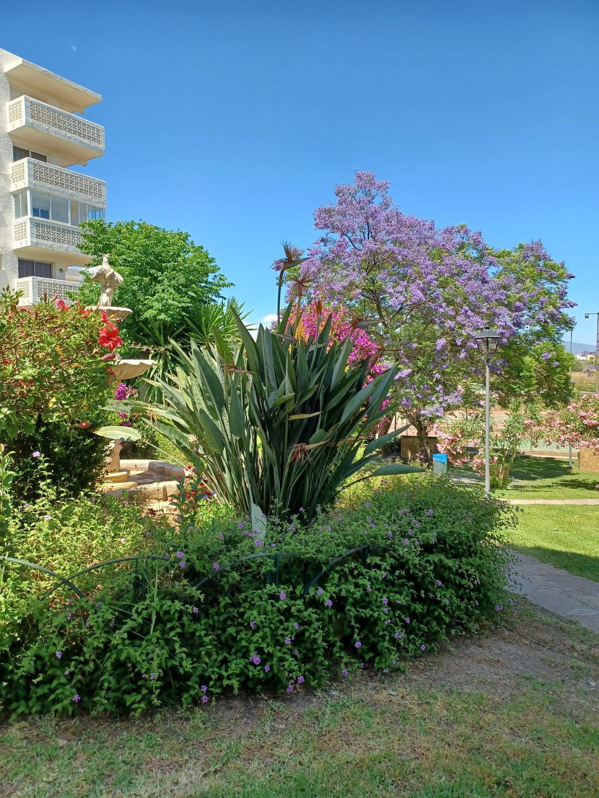 2-slaapkamer penthouse-appartement in Estepona (Parque Antena) in Estepona - foto 10