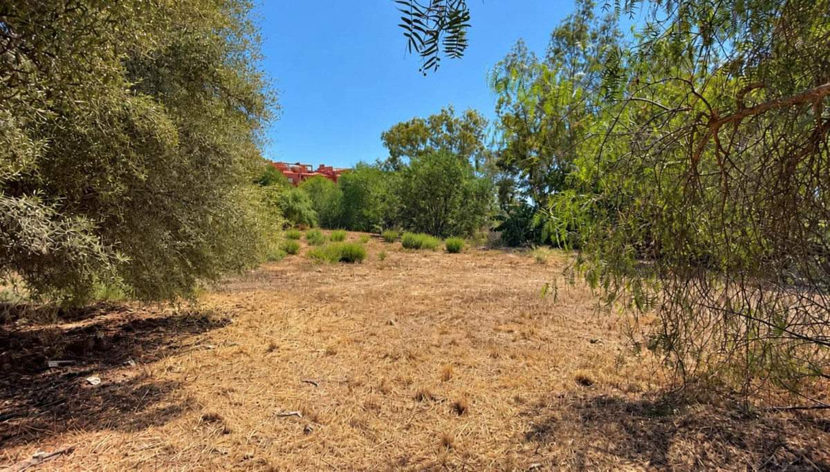 Plot in Las Chapas in Las Chapas - foto 2
