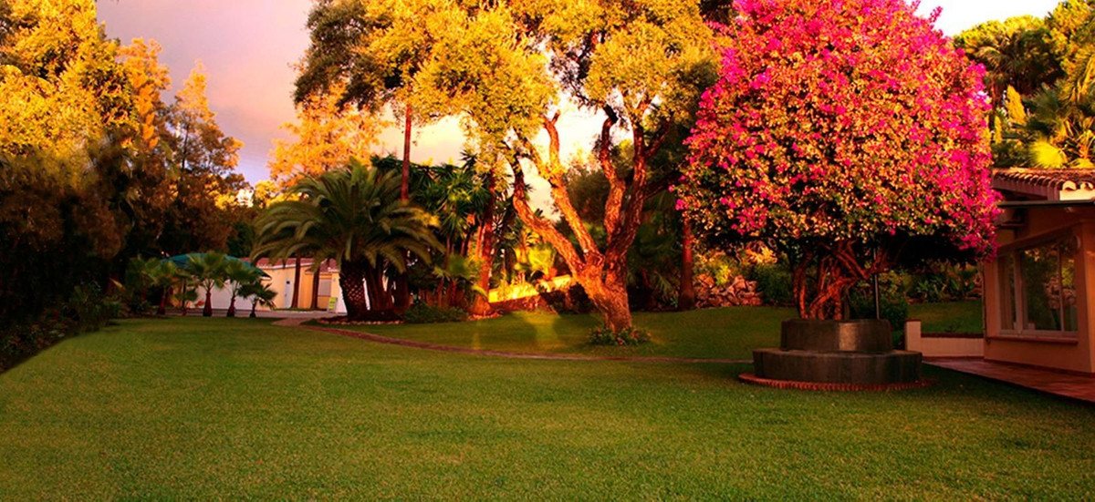 Villa met 5 slaapkamers in Elviria in Elviria - foto 3