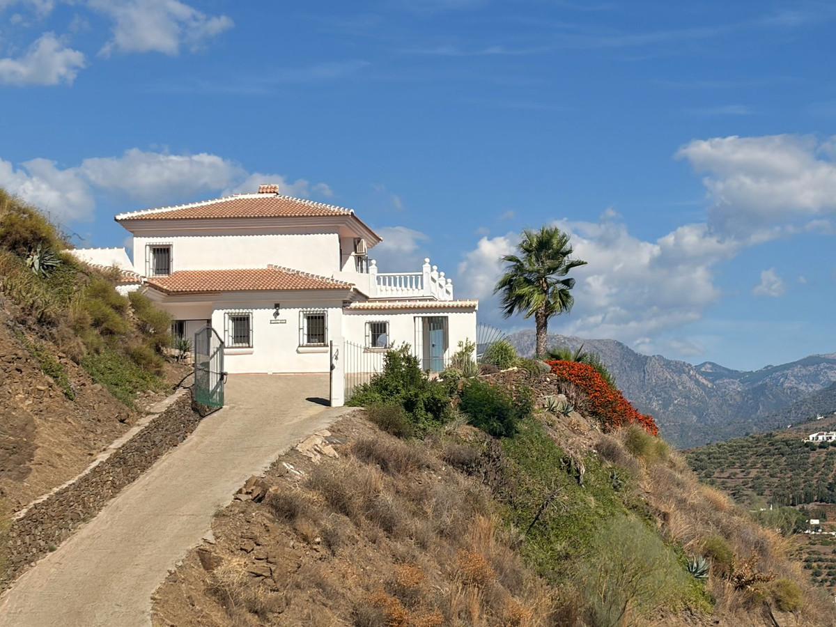 Villa met zeezicht in Sayalonga, Málaga – 3 slaapkamers op finca met mango-plantage in Sayalonga - foto 2