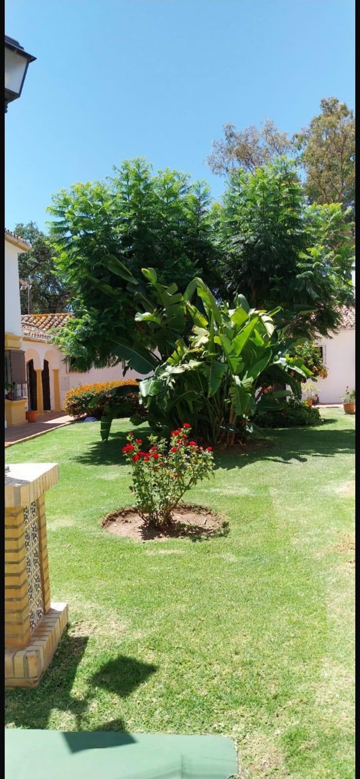 3 bedroom Apartment in Marbella in Marbella - foto 2