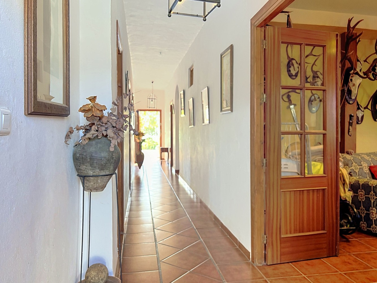 Finca met 6 slaapkamers in Benamargosa, Málaga in Benamargosa - foto 9