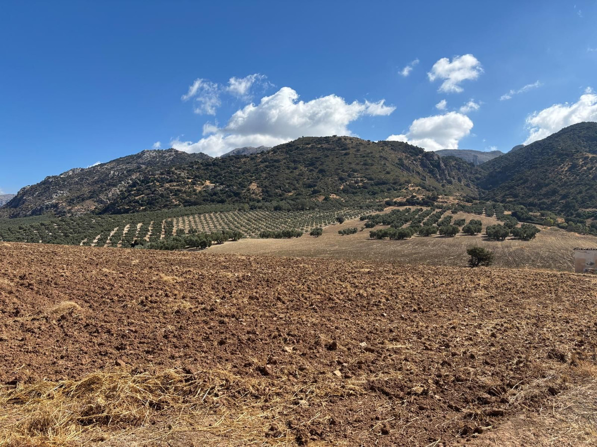 Plot in Antequera in Antequera - foto 12