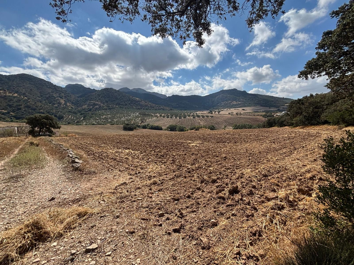 Plot in Antequera in Antequera - foto 13