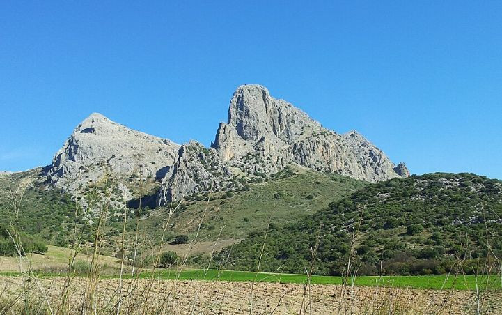 Plot in Antequera in Antequera - foto 20
