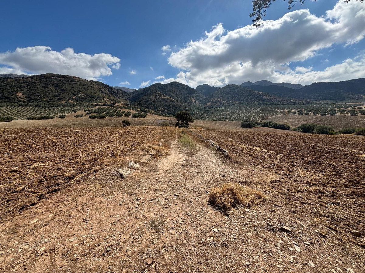 Plot in Antequera in Antequera - foto 4