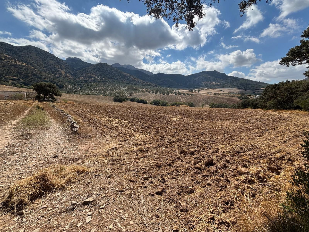 Plot in Antequera in Antequera - foto 7