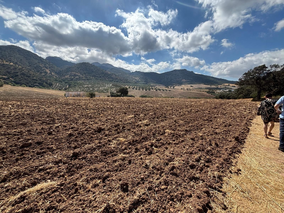 Plot in Antequera in Antequera - foto 8