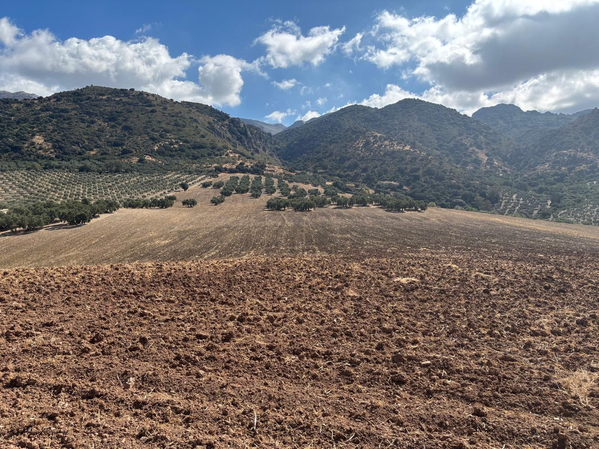 Plot in Antequera in Antequera - foto 10