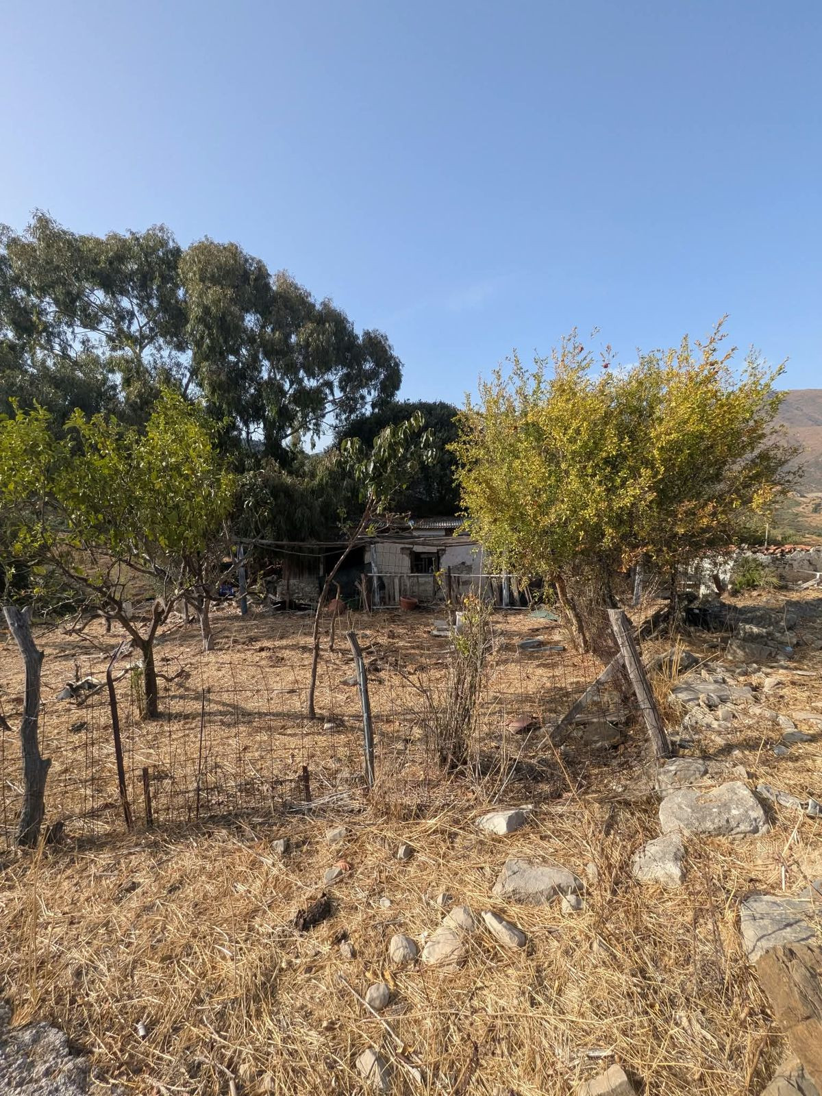 Plot in Casares in Casares - foto 13