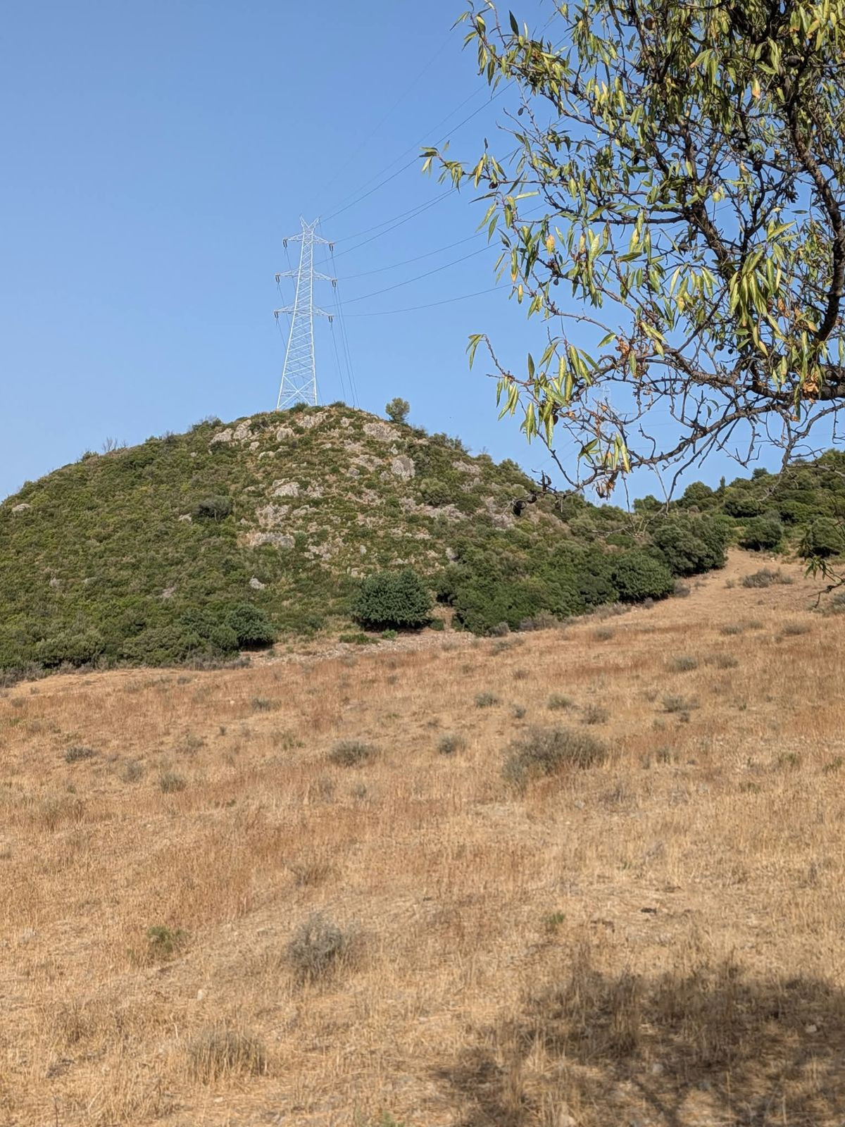 Plot in Casares in Casares - foto 4