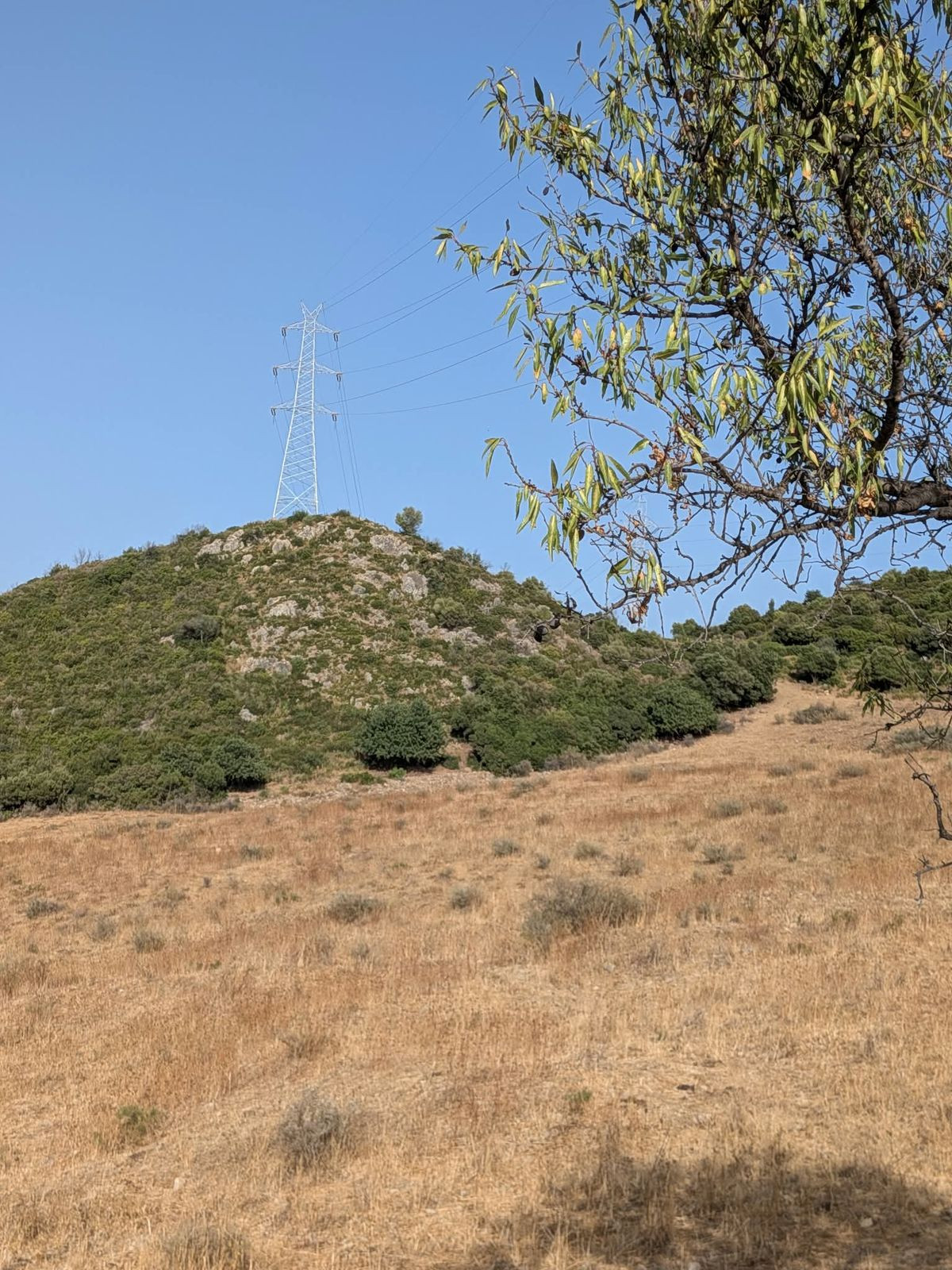 Plot in Casares in Casares - foto 5