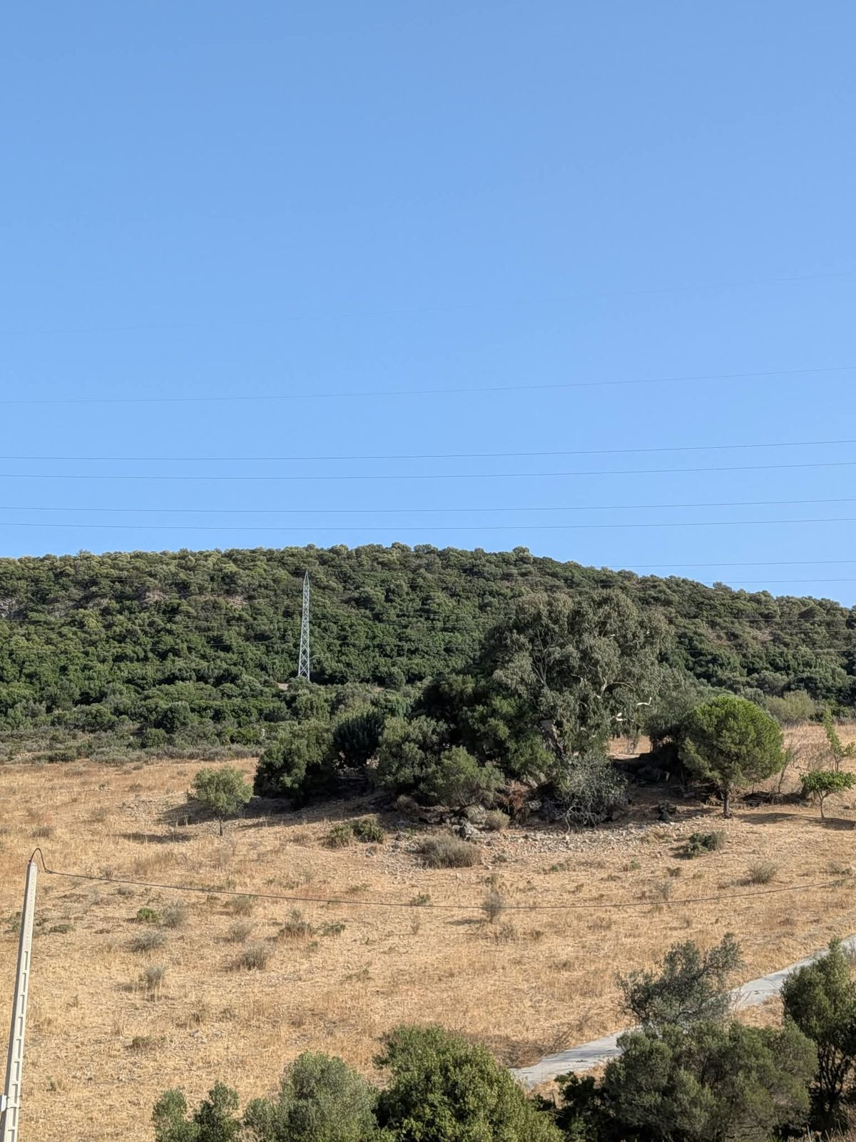 Plot in Casares in Casares - foto 7